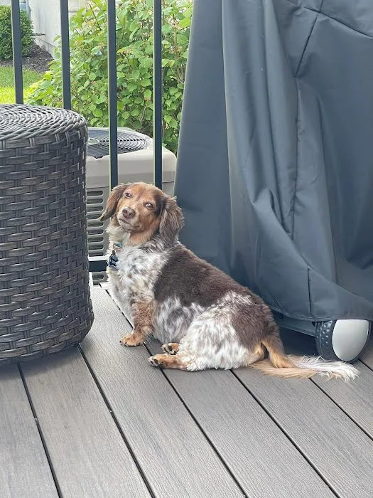 Prairie Village Animal Hospital Picture 8