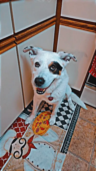 Somerset Animal Hospital Picture 5