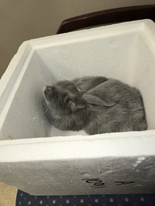 Somerset Animal Hospital Picture 4