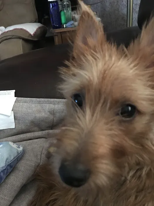 Somerset Animal Hospital Picture 6