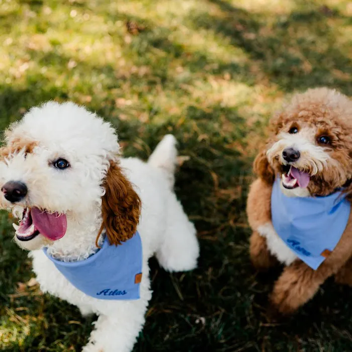 Somerset Animal Hospital Picture 8