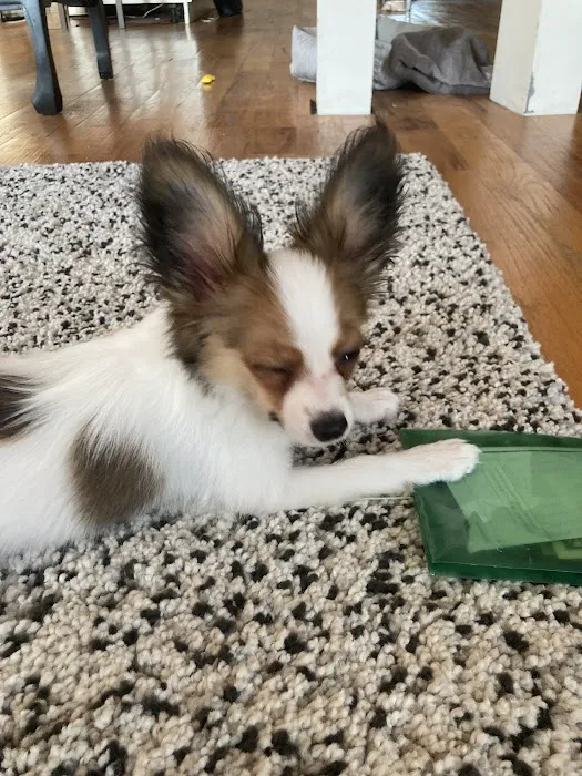 Somerset Animal Hospital Picture 9