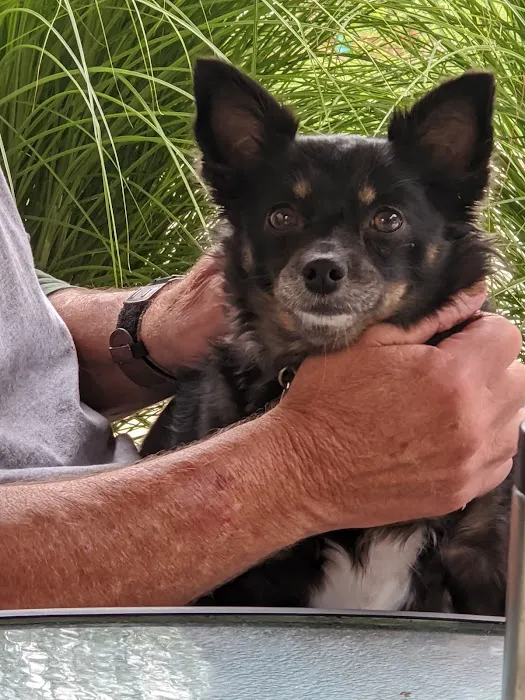 Overland Park Veterinary Center Picture 8