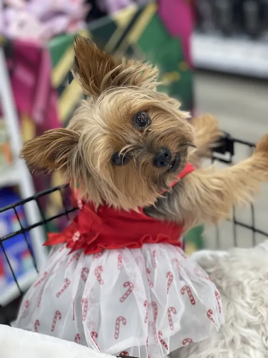 Overland Park Veterinary Center Picture 10