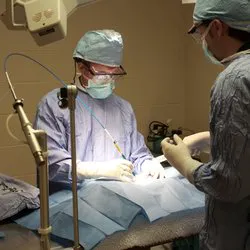 Cherokee Cat Clinic Picture 5