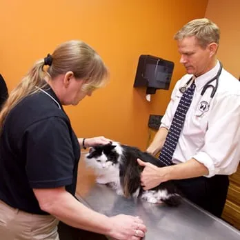 Cherokee Cat Clinic Picture 1