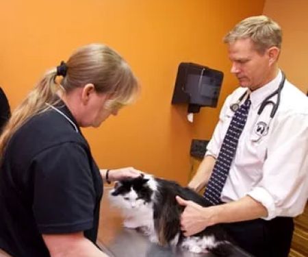 Cherokee Cat Clinic