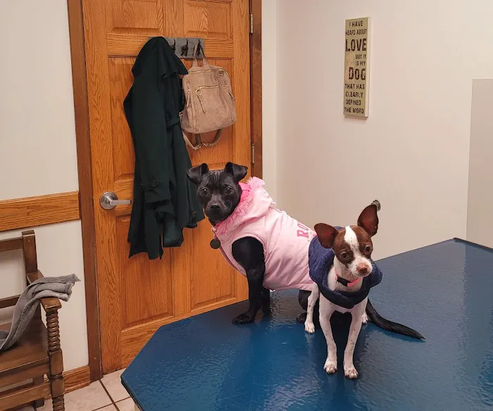 VCA Cherokee Animal Hospital Picture 4