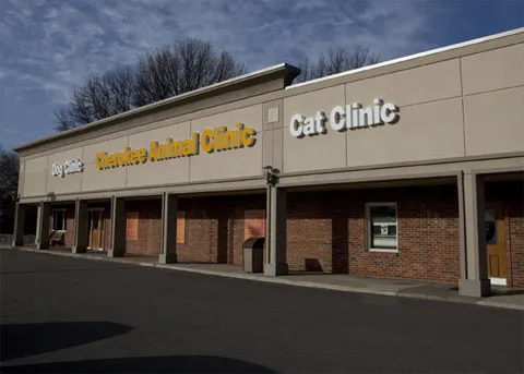 VCA Cherokee Animal Hospital Picture 8