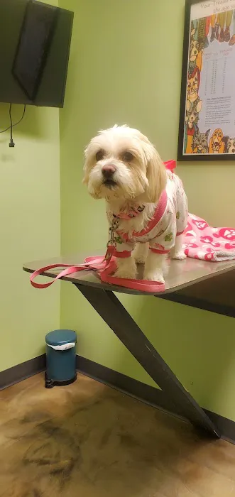 Wycliff Animal Clinic Picture 3