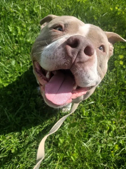 Wycliff Animal Clinic Picture 8