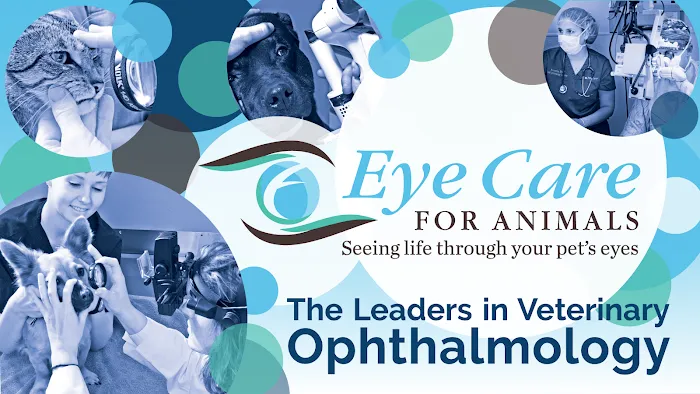 Eye Care for Animals - Overland Park Picture 7
