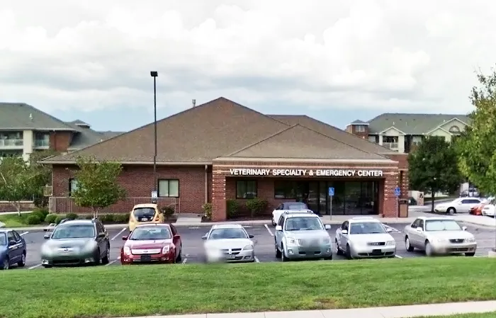 Eye Care for Animals - Overland Park Picture 8