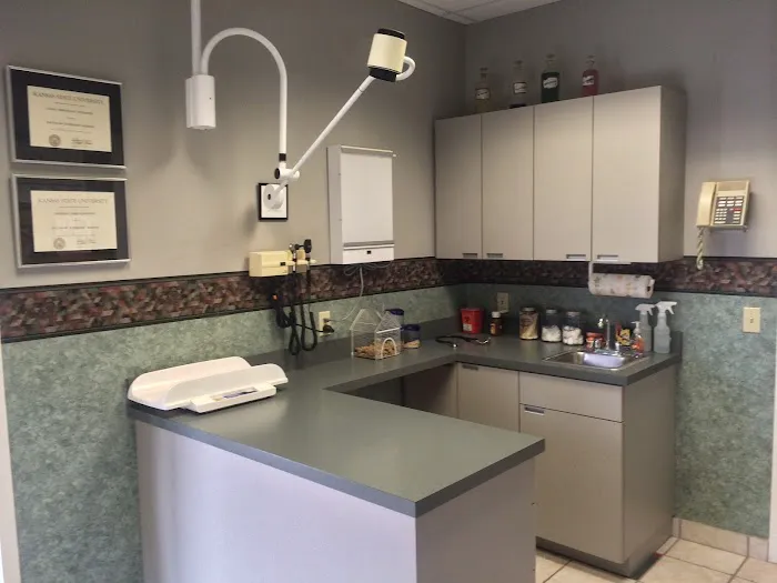 College Boulevard Animal Hospital Picture 4