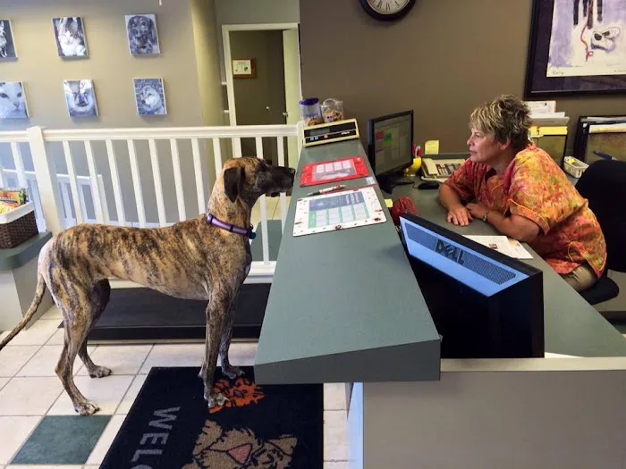 College Boulevard Animal Hospital Picture 7