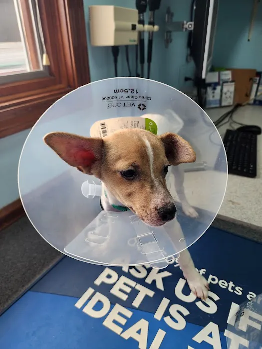 Silver Lake Animal Health Center Picture 1