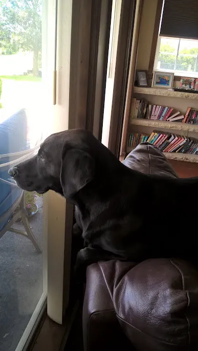 Silver Lake Animal Health Center Picture 3