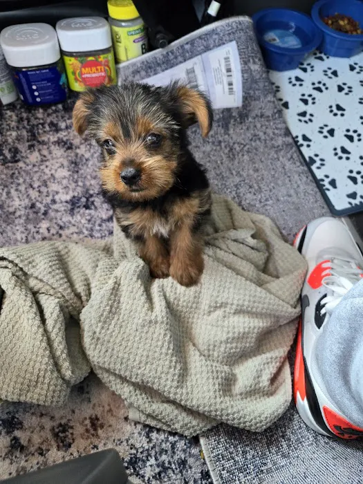 Vetco Total Care Animal Hospital Picture 3