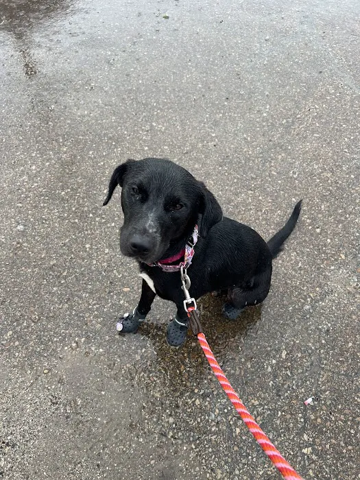 Vetco Total Care Animal Hospital Picture 1