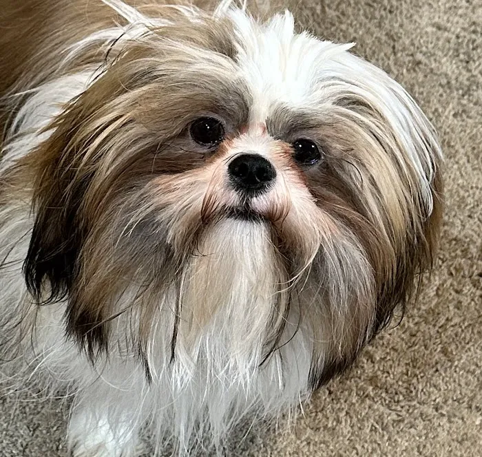 Vetco Total Care Animal Hospital Picture 2