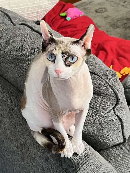 Vetco Total Care Animal Hospital Picture 5