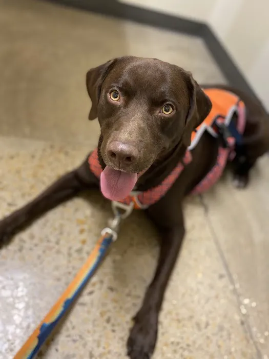 Vetco Total Care Animal Hospital Picture 6