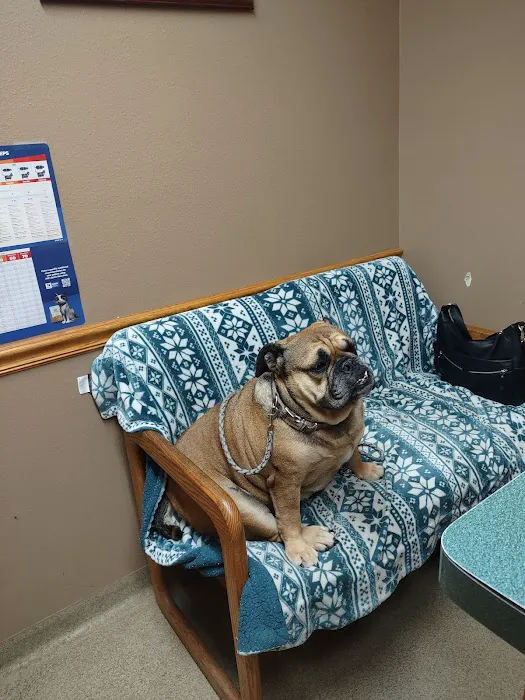 Banner Creek Animal Hospital Picture 2