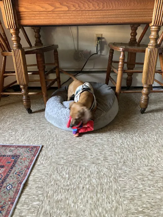 Banner Creek Animal Hospital Picture 3