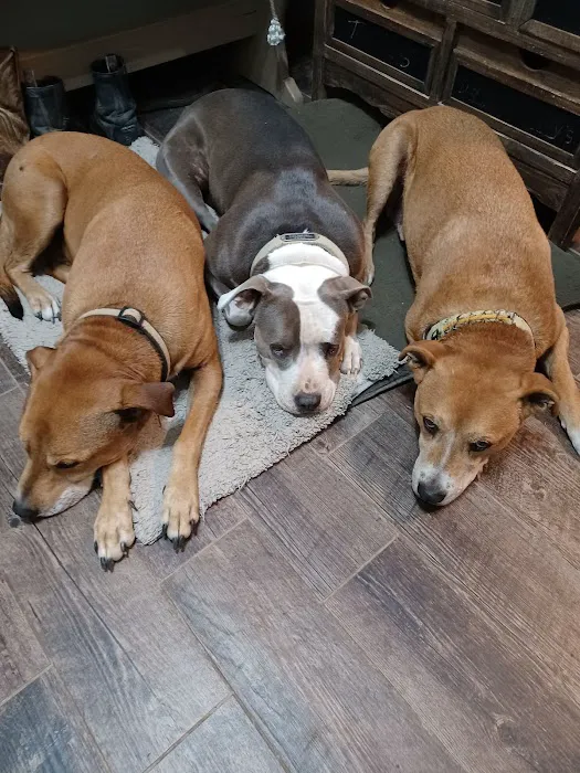 Banner Creek Animal Hospital Picture 5