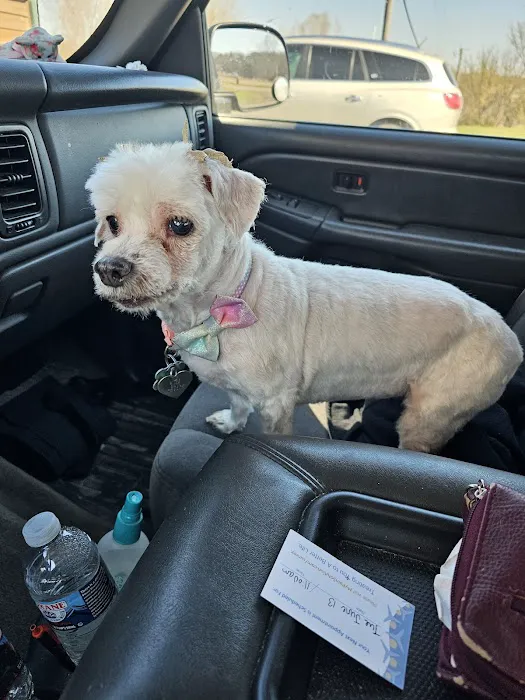 Banner Creek Animal Hospital Picture 6