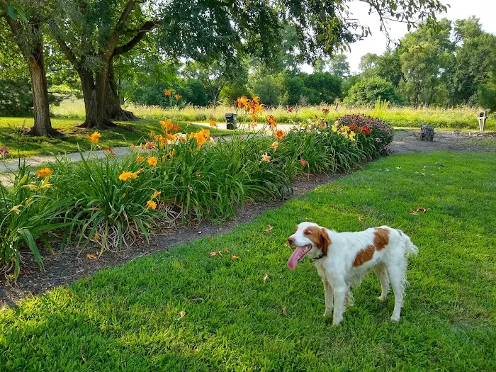 Banner Creek Animal Hospital Picture 7