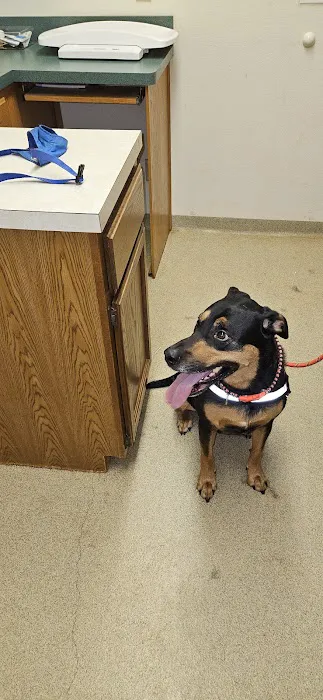 Banner Creek Animal Hospital Picture 9