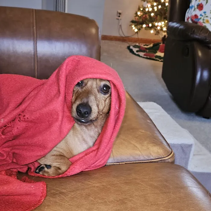 Banner Creek Animal Hospital Picture 10