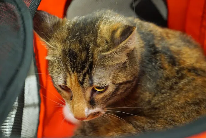 HHHS Community Clinic Picture 4