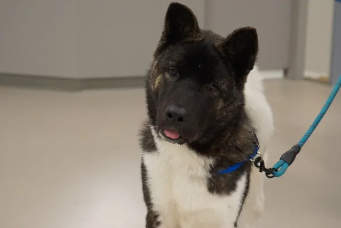 HHHS Community Clinic Picture 8