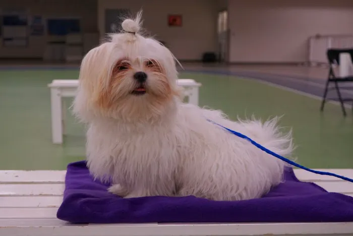 HHHS Community Clinic Picture 9