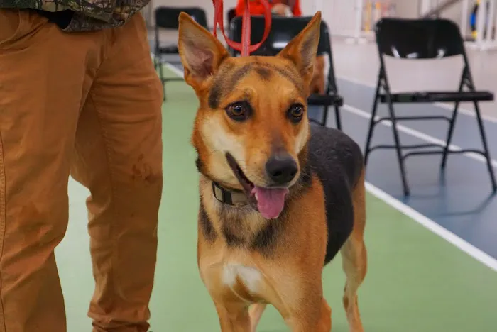 HHHS Community Clinic Picture 7