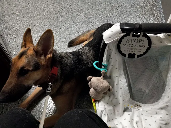 West Ridge Animal Health Center Picture 5