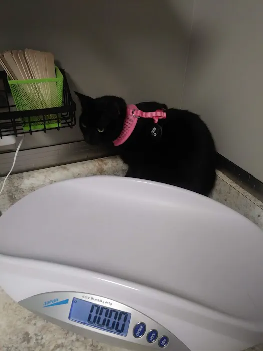 West Ridge Animal Health Center Picture 4