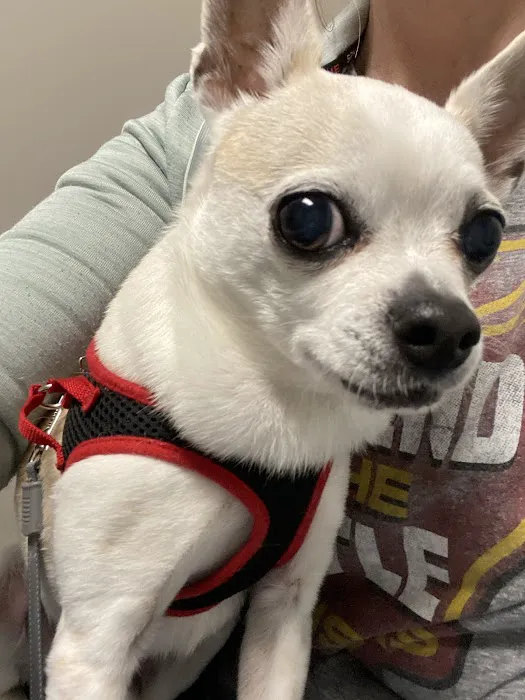 West Ridge Animal Health Center Picture 6