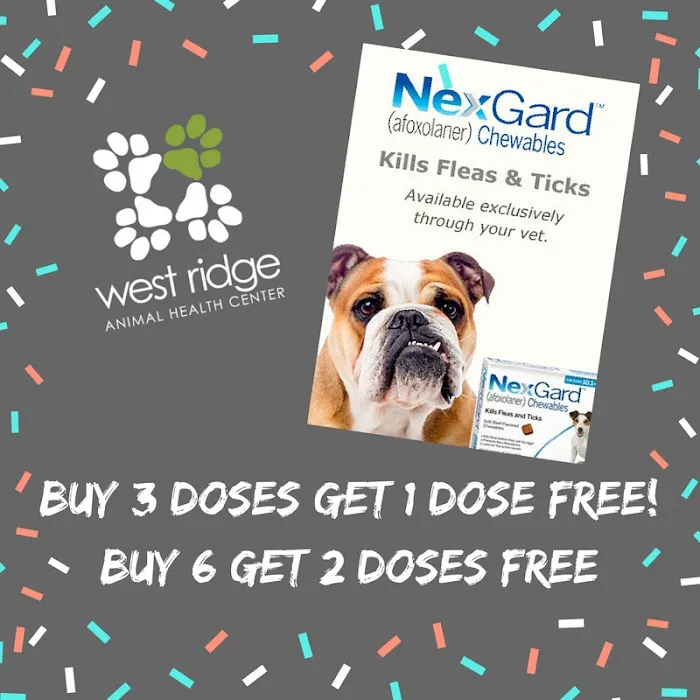 West Ridge Animal Health Center Picture 9