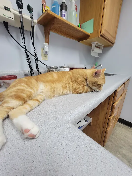 Burlingame Road Animal Hospital Picture 3