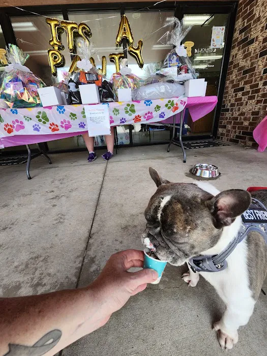 Burlingame Road Animal Hospital Picture 4