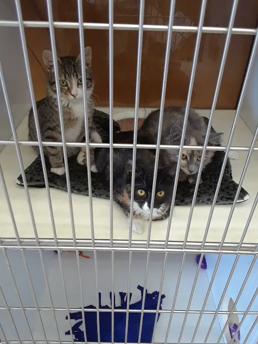 Burlingame Road Animal Hospital Picture 6