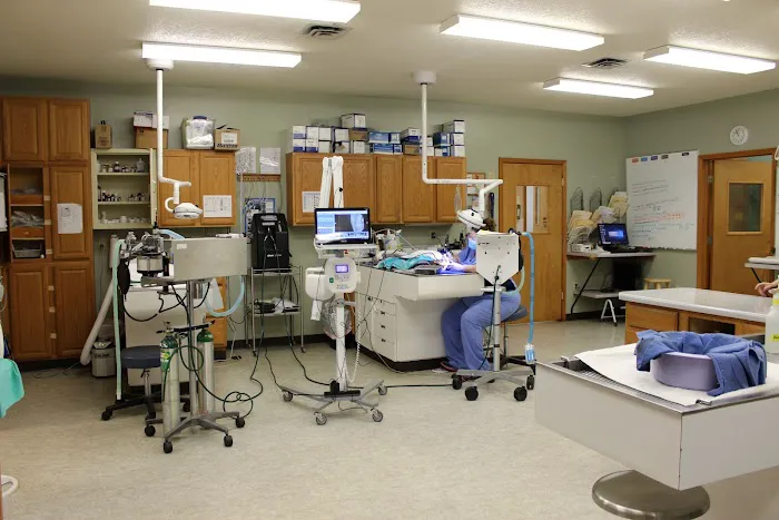 Burlingame Road Animal Hospital Picture 7