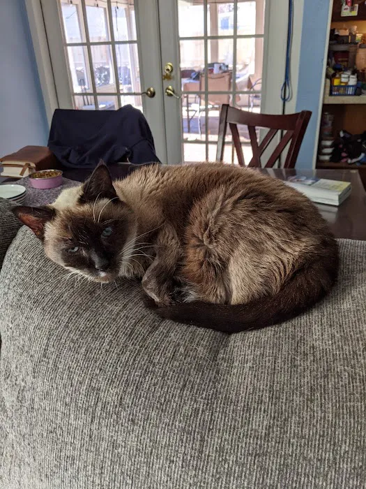 Burlingame Road Animal Hospital Picture 5