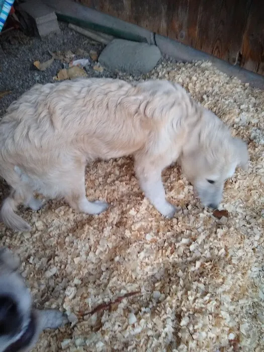Paw Prints Animal Hospital Picture 2