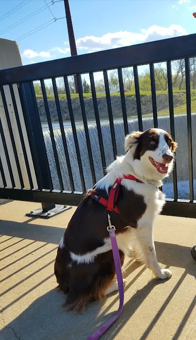 Paw Prints Animal Hospital Picture 3