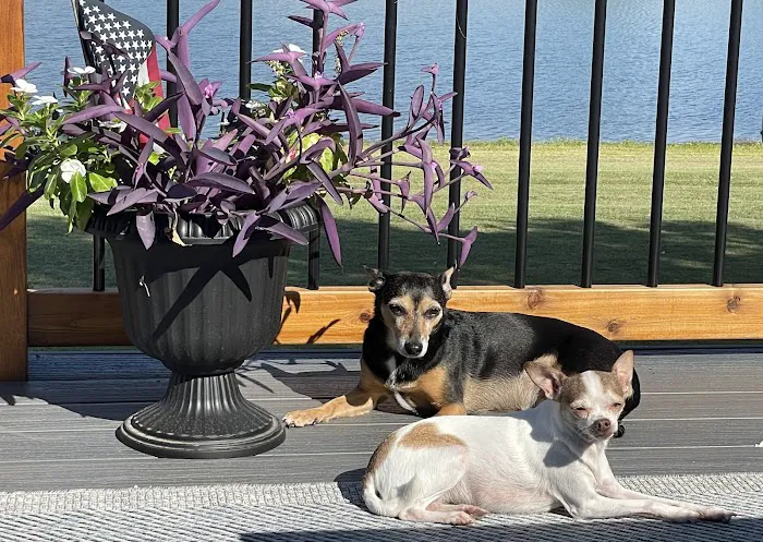 Paw Prints Animal Hospital Picture 1