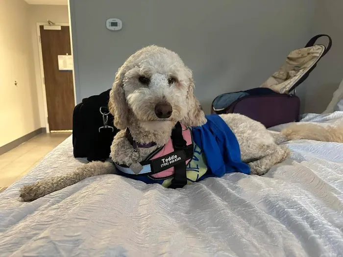 Paw Prints Animal Hospital Picture 6